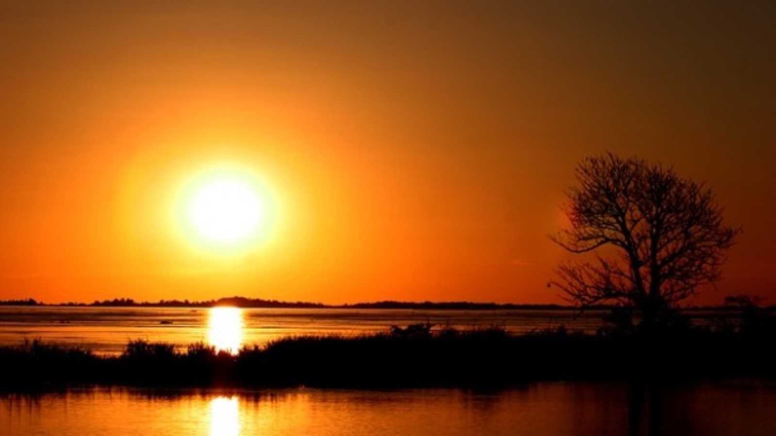 amazonia-sunset-295891_640