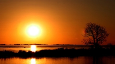 amazonia-sunset-295891_640