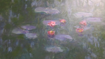 Ninfee, Water liles - 1916-1919. Claude Monet
Foto por Mari Weigert (Roma )