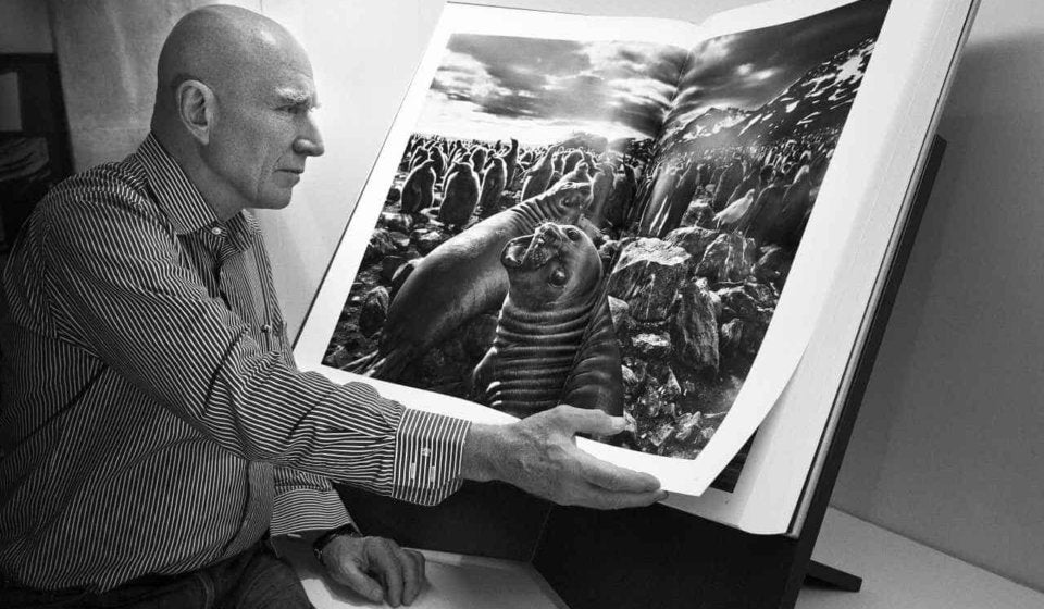 516817a418bcephoto_high_8526