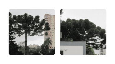 BAAD8100-BC39-4767-B993-1CE844744C81