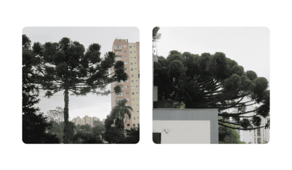 BAAD8100-BC39-4767-B993-1CE844744C81